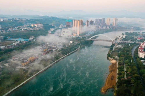 靖西全方位對(duì)外開放成效顯著 外貿(mào)進(jìn)出口同比增長(zhǎng)21%